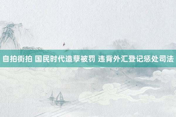 自拍街拍 国民时代造孽被罚 违背外汇登记惩处司法