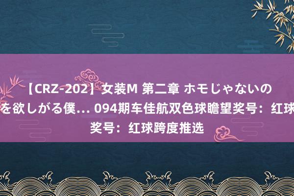 【CRZ-202】女装M 第二章 ホモじゃないのにチ○ポを欲しがる僕… 094期车佳航双色球瞻望奖号：红球跨度推选