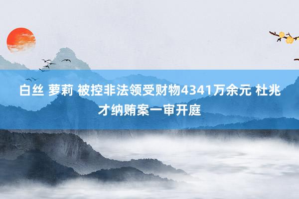 白丝 萝莉 被控非法领受财物4341万余元 杜兆才纳贿案一审开庭