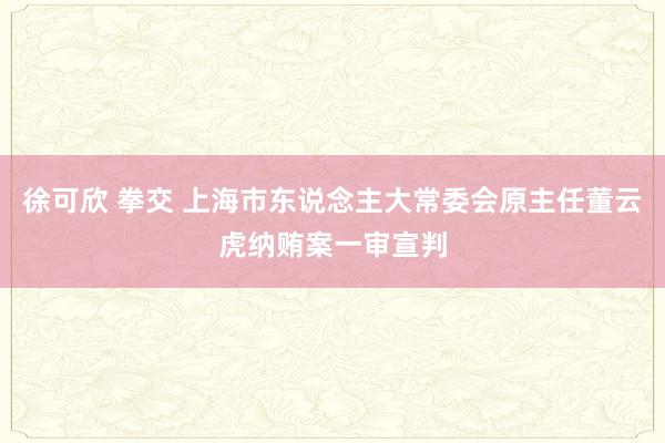 徐可欣 拳交 上海市东说念主大常委会原主任董云虎纳贿案一审宣判