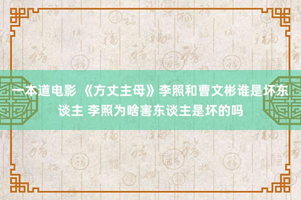一本道电影 《方丈主母》李照和曹文彬谁是坏东谈主 李照为啥害东谈主是坏的吗