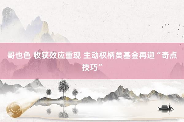 哥也色 收获效应重现 主动权柄类基金再迎“奇点技巧”
