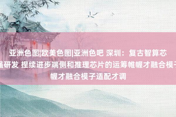 亚洲色图|欧美色图|亚洲色吧 深圳：复古智算芯片企业加强研发 捏续进步端侧和推理芯片的运筹帷幄才融合模子适配才调
