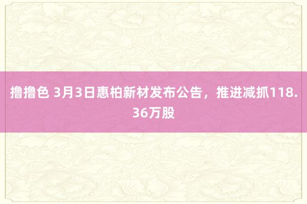 撸撸色 3月3日惠柏新材发布公告，推进减抓118.36万股