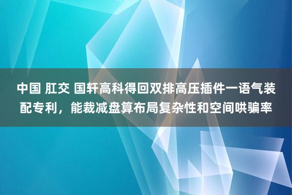 中国 肛交 国轩高科得回双排高压插件一语气装配专利，能裁减盘算布局复杂性和空间哄骗率