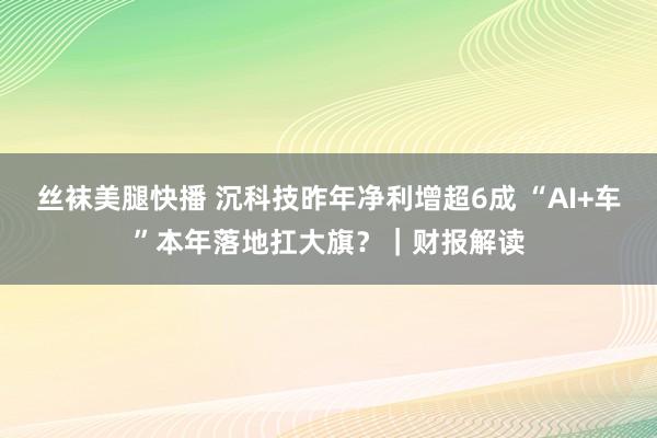 丝袜美腿快播 沉科技昨年净利增超6成 “AI+车”本年落地扛大旗？｜财报解读