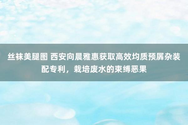 丝袜美腿图 西安向晨雅惠获取高效均质预羼杂装配专利，栽培废水的束缚恶果