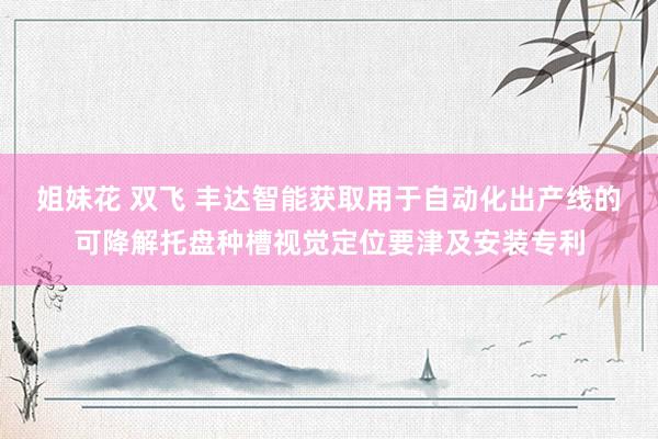 姐妹花 双飞 丰达智能获取用于自动化出产线的可降解托盘种槽视觉定位要津及安装专利