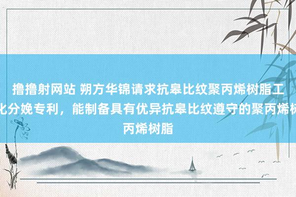 撸撸射网站 朔方华锦请求抗皋比纹聚丙烯树脂工业化分娩专利，能制备具有优异抗皋比纹遵守的聚丙烯树脂
