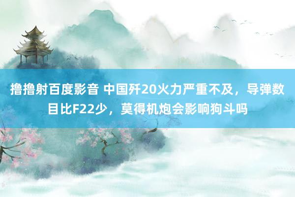 撸撸射百度影音 中国歼20火力严重不及，导弹数目比F22少，莫得机炮会影响狗斗吗