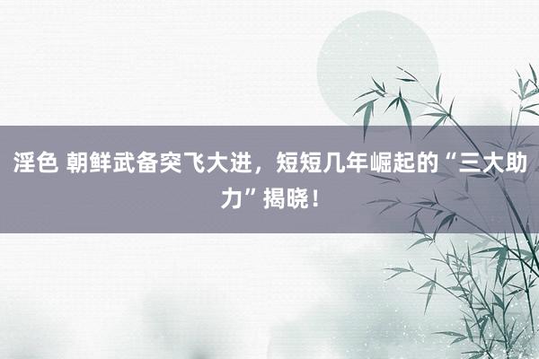 淫色 朝鲜武备突飞大进，短短几年崛起的“三大助力”揭晓！