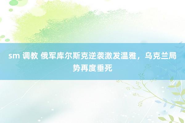 sm 调教 俄军库尔斯克逆袭激发温雅，乌克兰局势再度垂死