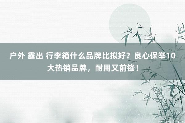 户外 露出 行李箱什么品牌比拟好？良心保举10大热销品牌，耐用又前锋！