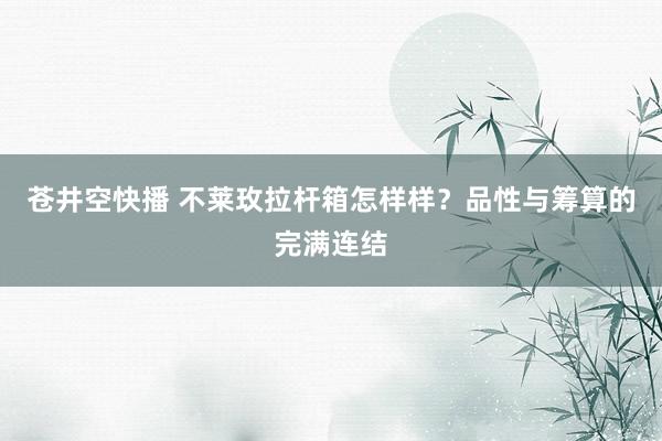 苍井空快播 不莱玫拉杆箱怎样样？品性与筹算的完满连结