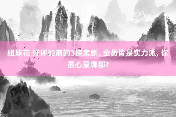 姐妹花 好评如潮的3探案剧, 全员皆是实力派, 你最心爱哪部?