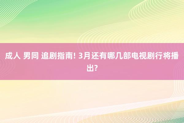 成人 男同 追剧指南! 3月还有哪几部电视剧行将播出?