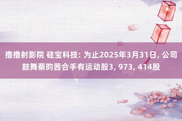 撸撸射影院 硅宝科技: 为止2025年3月31日, 公司鼓舞蔡昀茜合手有运动股3, 973, 414股