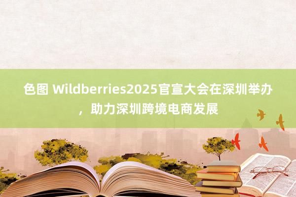 色图 Wildberries2025官宣大会在深圳举办，助力深圳跨境电商发展