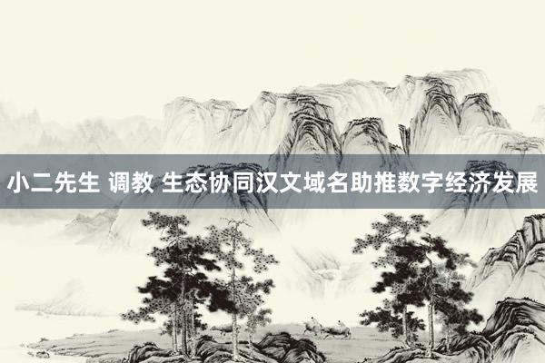 小二先生 调教 生态协同汉文域名助推数字经济发展