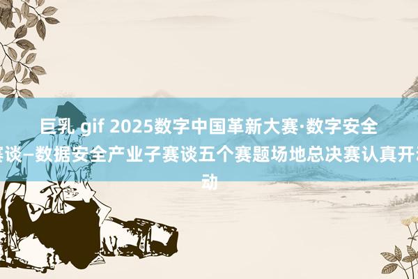 巨乳 gif 2025数字中国革新大赛·数字安全赛谈—数据安全产业子赛谈五个赛题场地总决赛认真开动