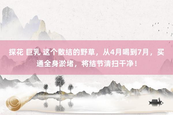 探花 巨乳 这个散结的野草，从4月喝到7月，买通全身淤堵，将结节清扫干净！