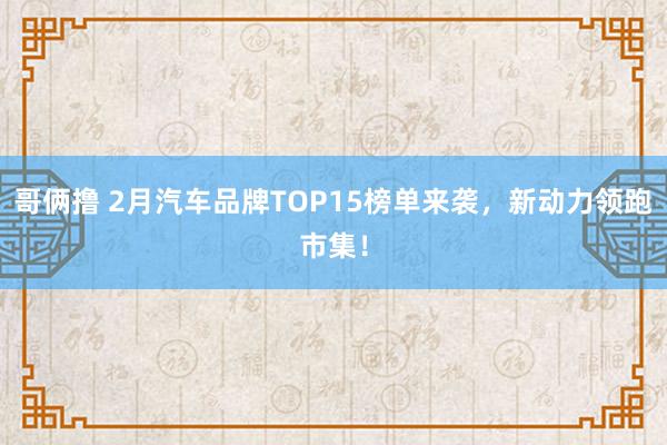 哥俩撸 2月汽车品牌TOP15榜单来袭，新动力领跑市集！