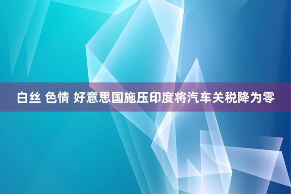 白丝 色情 好意思国施压印度将汽车关税降为零