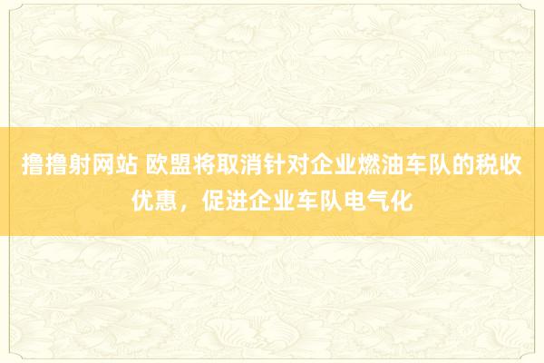 撸撸射网站 欧盟将取消针对企业燃油车队的税收优惠，促进企业车队电气化