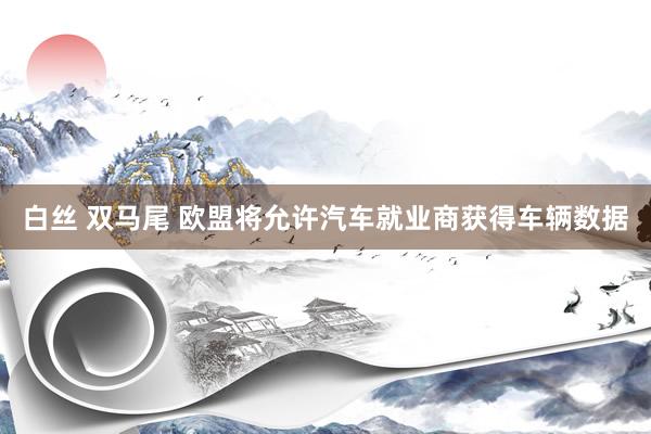 白丝 双马尾 欧盟将允许汽车就业商获得车辆数据